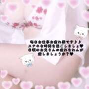 ヒメ日記 2025/07/30 13:58 投稿 れん 桜フェアリーテイル