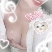 ヒメ日記 2025/08/12 10:58 投稿 れん 桜フェアリーテイル