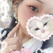 ヒメ日記 2025/08/14 13:08 投稿 れん 桜フェアリーテイル