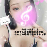 ヒメ日記 2025/08/15 09:34 投稿 れん 桜フェアリーテイル