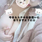 ヒメ日記 2025/09/06 10:36 投稿 れん 桜フェアリーテイル