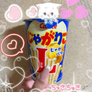 ヒメ日記 2025/09/17 21:33 投稿 れん 桜フェアリーテイル