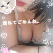 ヒメ日記 2025/09/28 14:28 投稿 れん 桜フェアリーテイル