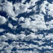 ヒメ日記 2025/10/04 18:01 投稿 れん 桜フェアリーテイル