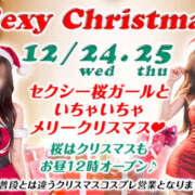 ヒメ日記 2025/12/20 15:42 投稿 れん 桜フェアリーテイル