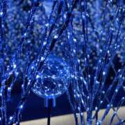 ヒメ日記 2025/12/21 10:30 投稿 れん 桜フェアリーテイル