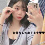 ヒメ日記 2026/01/06 13:07 投稿 れん 桜フェアリーテイル