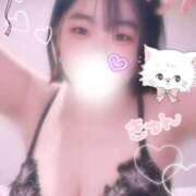 ヒメ日記 2026/01/21 15:27 投稿 れん 桜フェアリーテイル