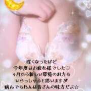 ヒメ日記 2026/04/01 15:59 投稿 れん 桜フェアリーテイル