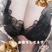 ヒメ日記 2026/04/08 14:44 投稿 れん 桜フェアリーテイル