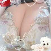 ヒメ日記 2026/04/12 15:10 投稿 れん 桜フェアリーテイル