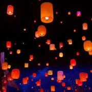 ヒメ日記 2026/04/14 19:37 投稿 れん 桜フェアリーテイル