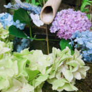 ヒメ日記 2026/06/02 19:29 投稿 れん 桜フェアリーテイル