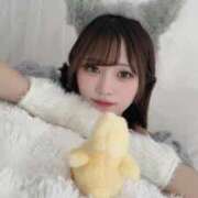 ヒメ日記 2025/11/02 17:09 投稿 えび E+アイドルスクール　大阪・日本橋店