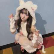 ヒメ日記 2025/11/19 23:19 投稿 えび E+アイドルスクール　大阪・日本橋店