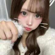 ヒメ日記 2026/02/20 15:50 投稿 えび E+アイドルスクール　大阪・日本橋店