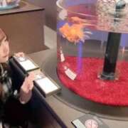 ヒメ日記 2026/04/02 18:03 投稿 えび E+アイドルスクール　大阪・日本橋店