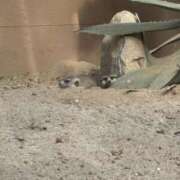 ヒメ日記 2025/08/22 00:42 投稿 よる【潮吹き90％極上イラマ】 STELLA TOKYO－ステラトウキョウ－