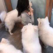 ヒメ日記 2026/01/22 14:06 投稿 よる【潮吹き90％極上イラマ】 STELLA TOKYO－ステラトウキョウ－