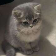 ヒメ日記 2026/03/22 16:50 投稿 よる【潮吹き90％極上イラマ】 STELLA TOKYO－ステラトウキョウ－