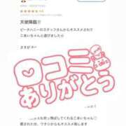 ヒメ日記 2025/07/06 16:02 投稿 こあい ピーチハニー