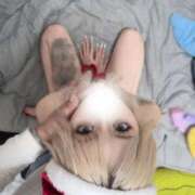 ヒメ日記 2025/12/14 21:20 投稿 みさ Venti大阪