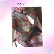 ヒメ日記 2025/07/17 05:16 投稿 わかな 熟女総本店 堺東店