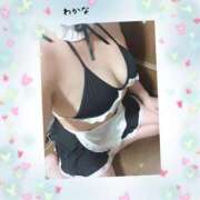 ヒメ日記 2025/08/15 04:15 投稿 わかな 熟女総本店 堺東店