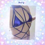 ヒメ日記 2025/08/17 01:29 投稿 わかな 熟女総本店 堺東店