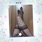 ヒメ日記 2025/09/17 01:30 投稿 わかな 熟女総本店 堺東店