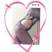 ヒメ日記 2025/11/12 04:19 投稿 わかな 熟女総本店 堺東店