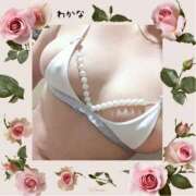 ヒメ日記 2025/11/17 20:45 投稿 わかな 熟女総本店 堺東店