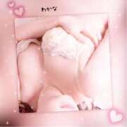 ヒメ日記 2025/12/29 01:46 投稿 わかな 熟女総本店 堺東店