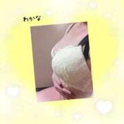 ヒメ日記 2026/01/14 04:19 投稿 わかな 熟女総本店 堺東店