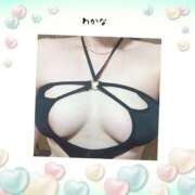 ヒメ日記 2026/01/20 19:56 投稿 わかな 熟女総本店 堺東店