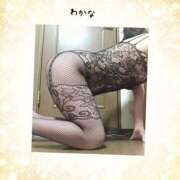 ヒメ日記 2026/02/12 04:19 投稿 わかな 熟女総本店 堺東店