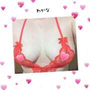 ヒメ日記 2026/02/17 14:03 投稿 わかな 熟女総本店 堺東店