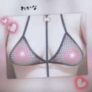 わかな お誘い待ってます・・ 熟女総本店 堺東店