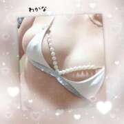 ヒメ日記 2026/04/10 15:28 投稿 わかな 熟女総本店 堺東店