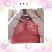 ヒメ日記 2026/04/11 04:56 投稿 わかな 熟女総本店 堺東店