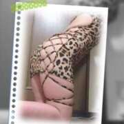 ヒメ日記 2026/04/12 04:54 投稿 わかな 熟女総本店 堺東店