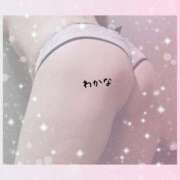 ヒメ日記 2026/04/29 02:54 投稿 わかな 熟女総本店 堺東店