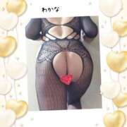 ヒメ日記 2026/05/18 11:49 投稿 わかな 熟女総本店 堺東店