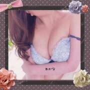 ヒメ日記 2026/06/16 10:02 投稿 わかな 熟女総本店 堺東店