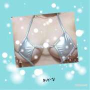 ヒメ日記 2026/08/13 11:39 投稿 わかな 熟女総本店 堺東店