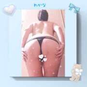 ヒメ日記 2026/10/15 13:44 投稿 わかな 熟女総本店 堺東店