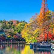 すずさん 出勤予定のお知らせ⋆͛ －PTA－