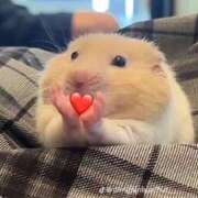 ヒメ日記 2025/11/08 16:16 投稿 佐藤かな ABC 岩手ソープ