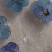 ヒメ日記 2025/07/05 11:22 投稿 さおり 出会い系人妻ネットワーク さいたま～大宮編