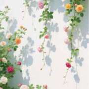 ヒメ日記 2025/07/11 14:42 投稿 さおり 出会い系人妻ネットワーク さいたま～大宮編